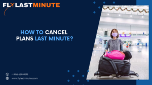 Read more about the article How to Cancel Plans in Last Minute?