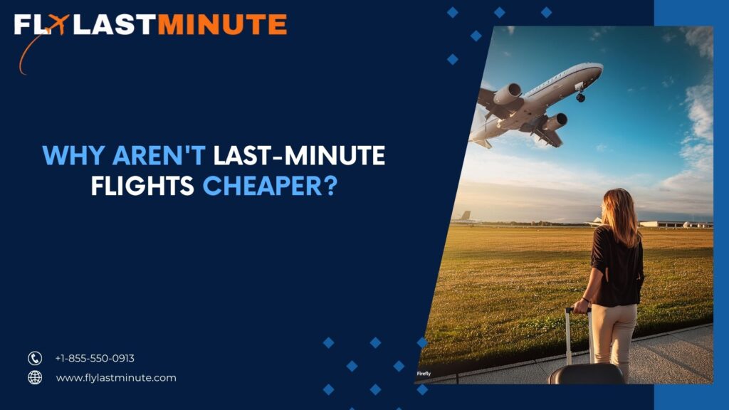 Read more about the article Why Last-Minute Flights aren’t Cheaper?