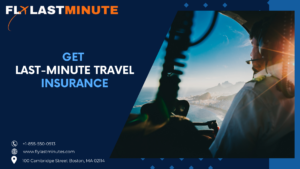 Read more about the article Get Last-Minute Travel Insurance