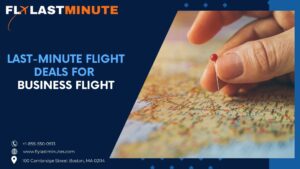 Read more about the article Last-Minute Deals for Business Flight