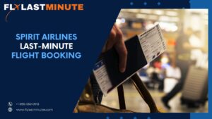 Read more about the article Spirit Airlines last-minute flight booking